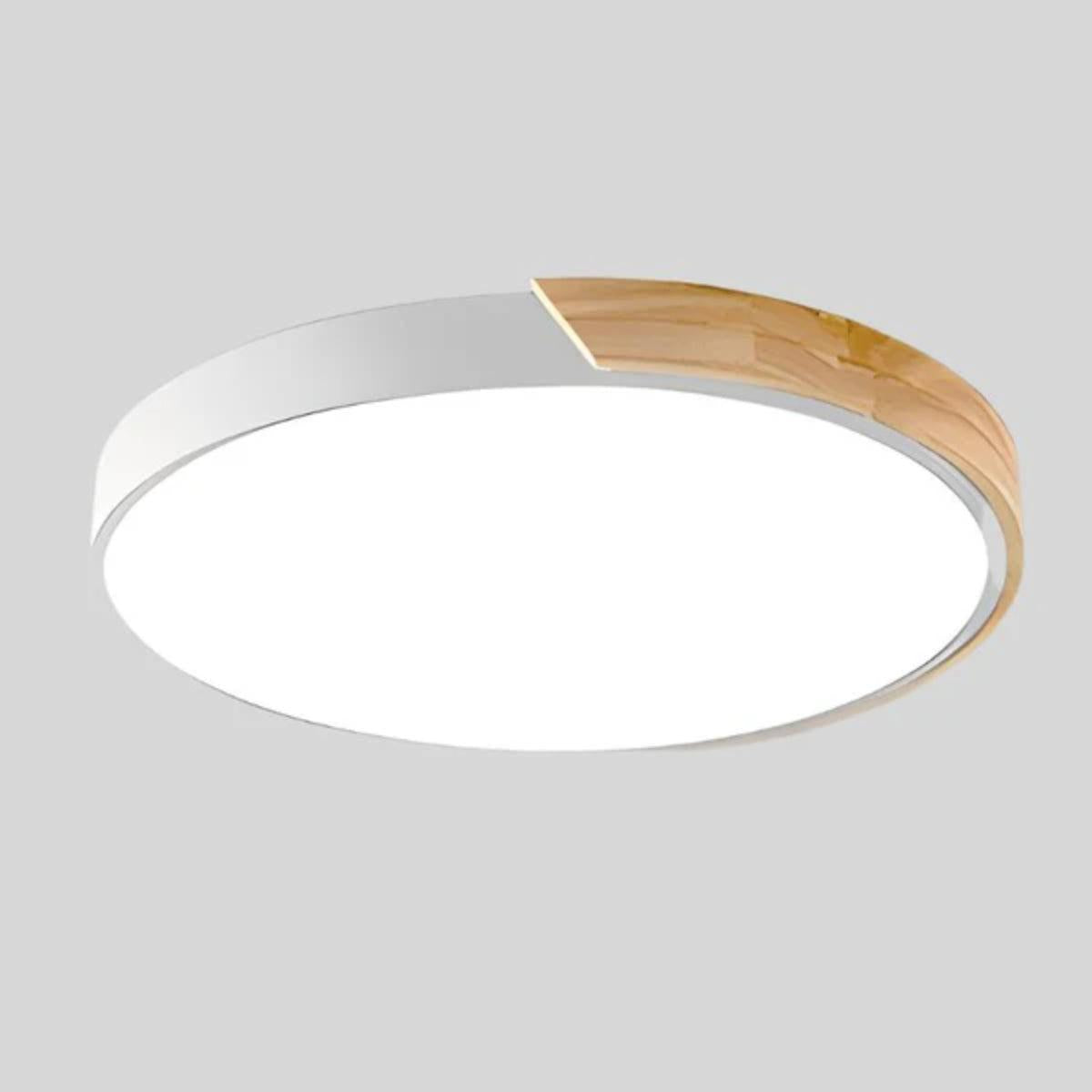 Circular Minimalist Modern Flush Mount Ceiling Light With Ambient Lighting