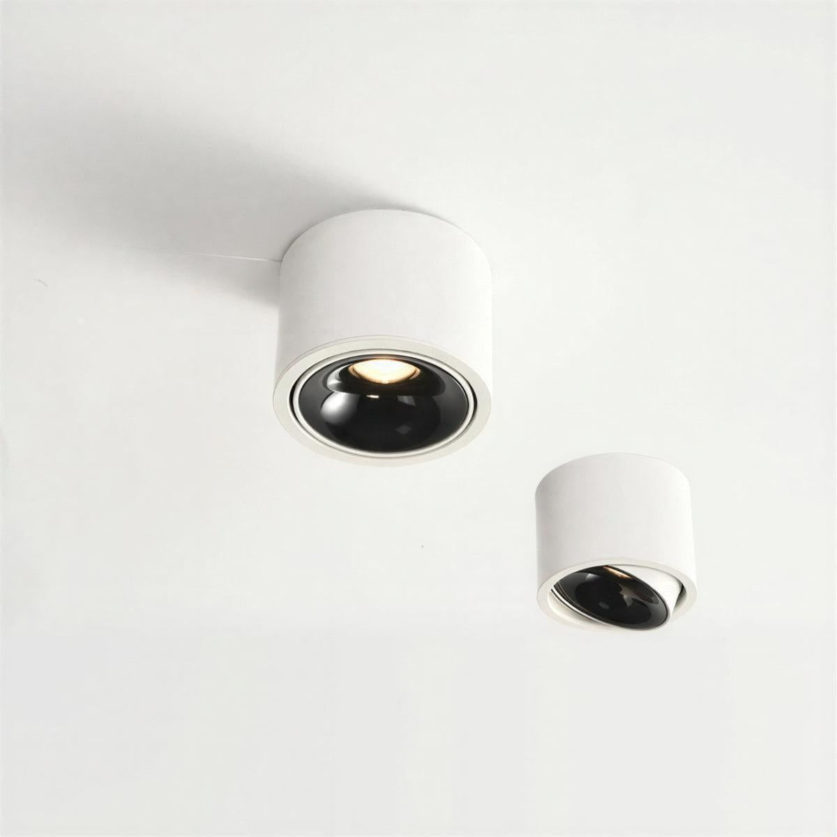 Cylindrical Flush Mounted Ceiling Light Downlight With Adjustable Spotlight Surface