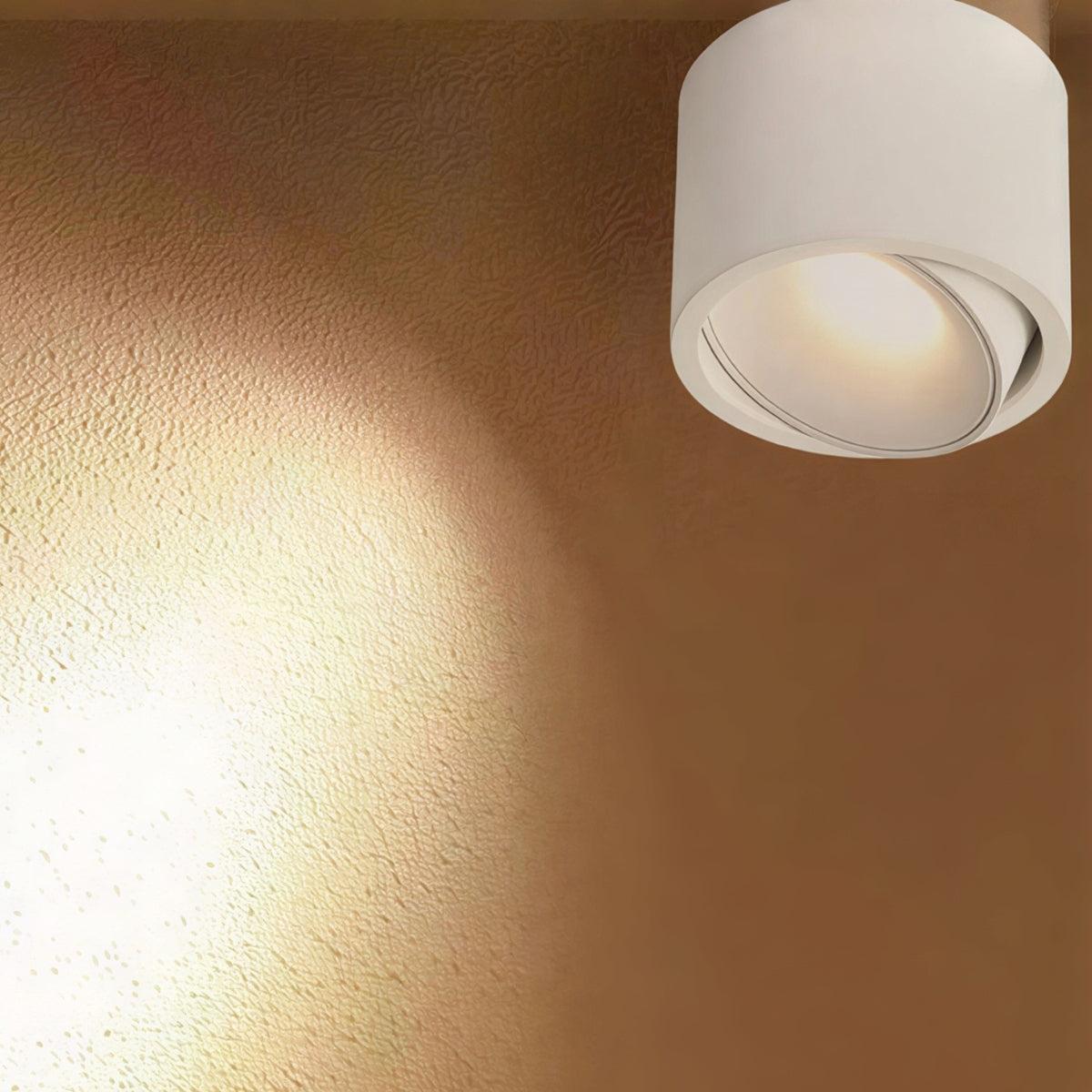 Cylindrical Flush Mounted Ceiling Light Downlight With Adjustable Spotlight Surface