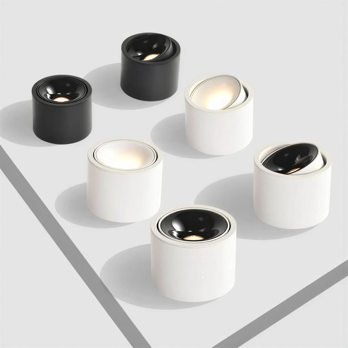 Cylindrical Flush Mounted Ceiling Light Downlight With Adjustable Spotlight Surface