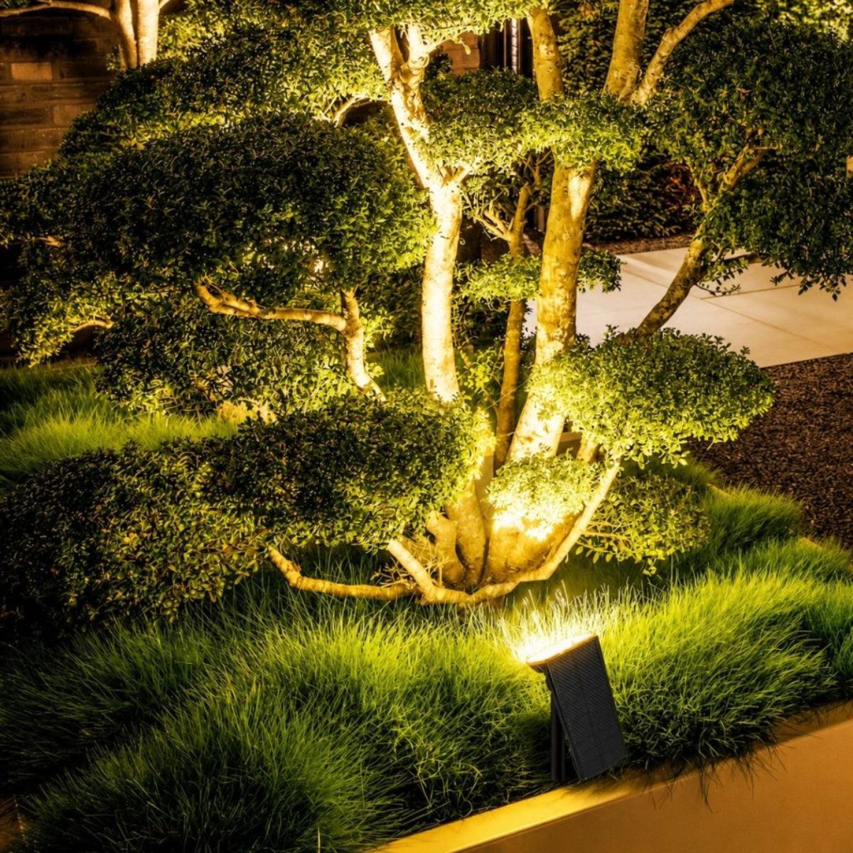 Outdoor Solar Wall Or Garden Light With Adjustable Head Spotlight
