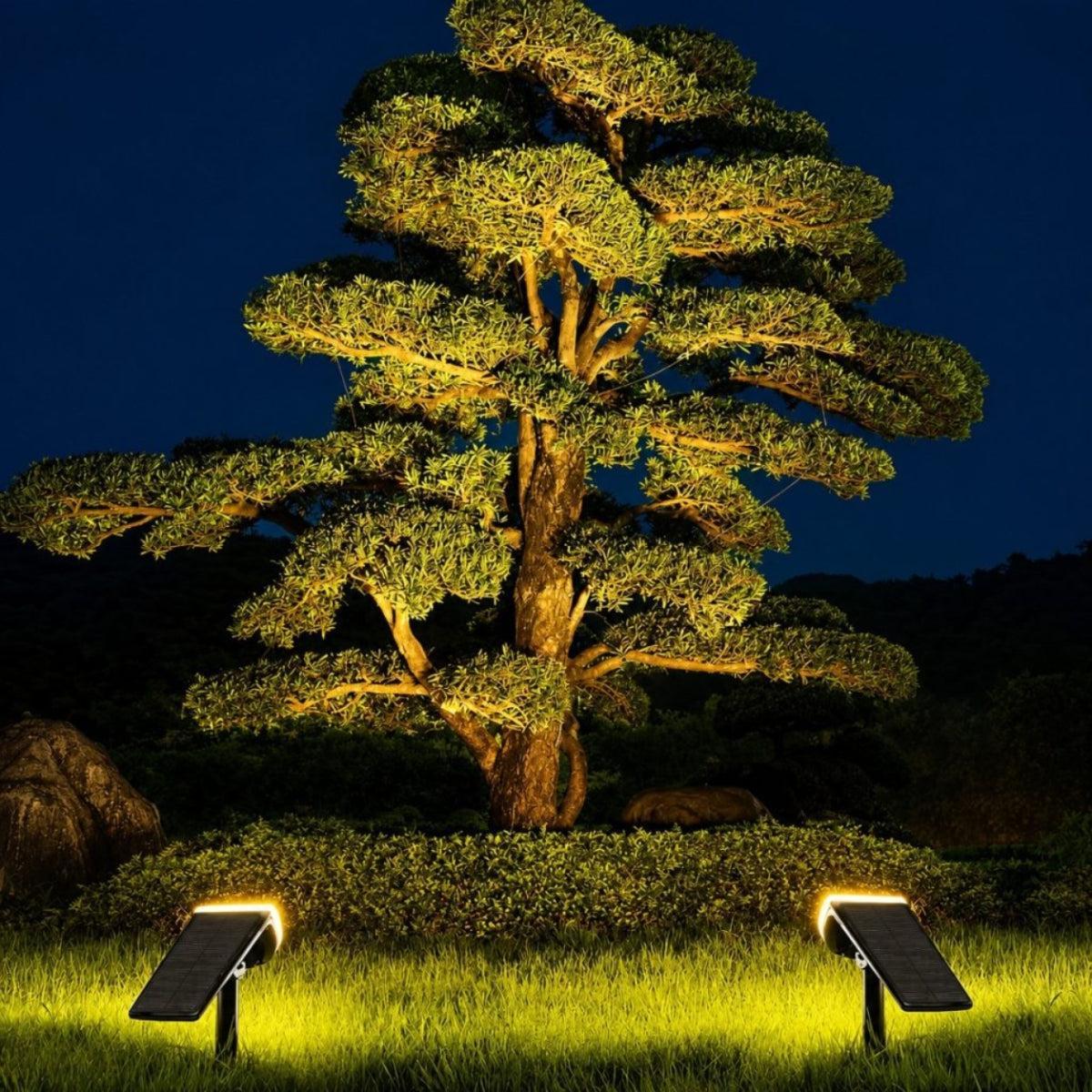 Outdoor Solar Wall Or Garden Light With Adjustable Head Spotlight