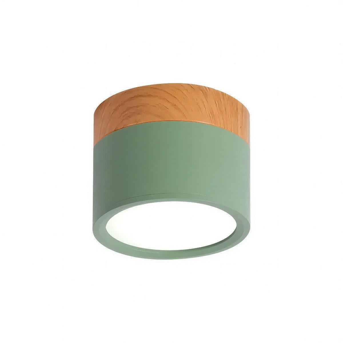 Simple Flush Mount Cylindrical Ceiling Light Downlight Fixture