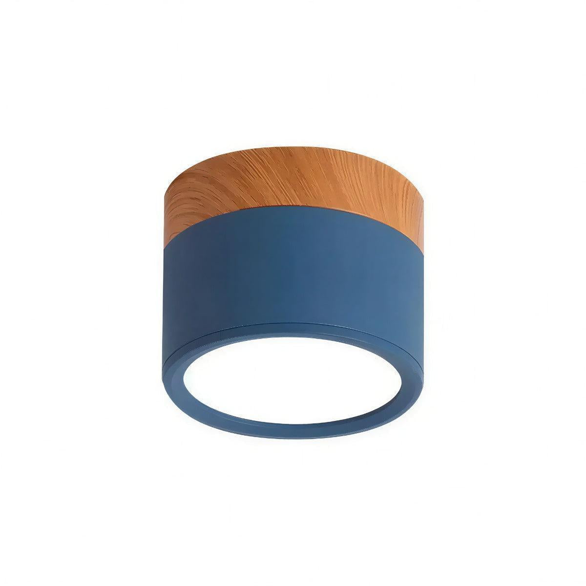 Simple Flush Mount Cylindrical Ceiling Light Downlight Fixture