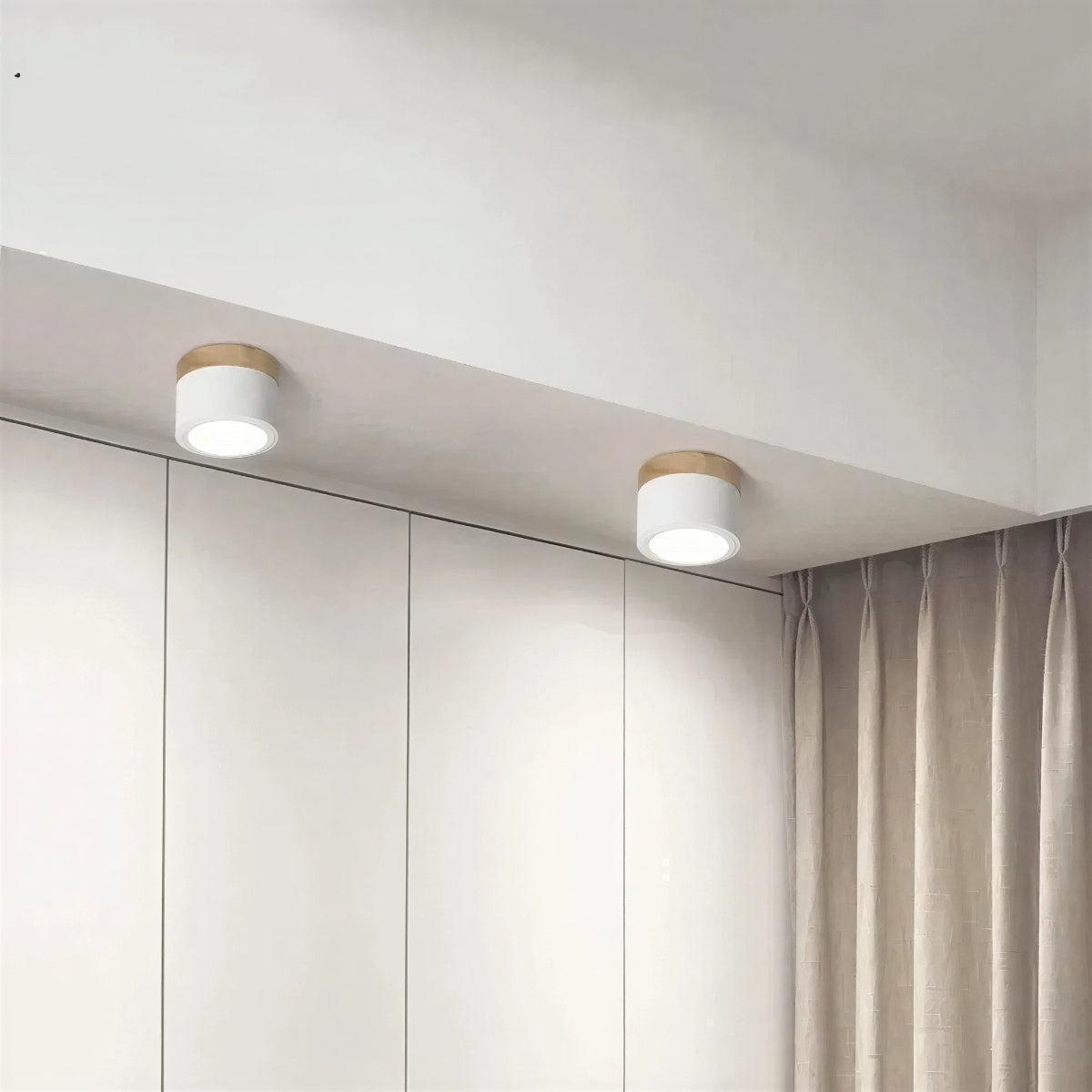 Simple Flush Mount Cylindrical Ceiling Light Downlight Fixture