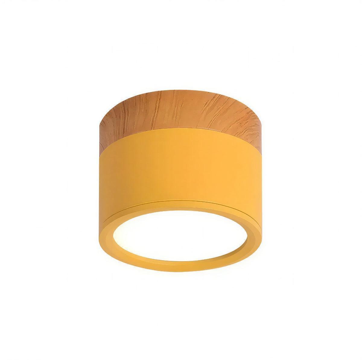 Simple Flush Mount Cylindrical Ceiling Light Downlight Fixture