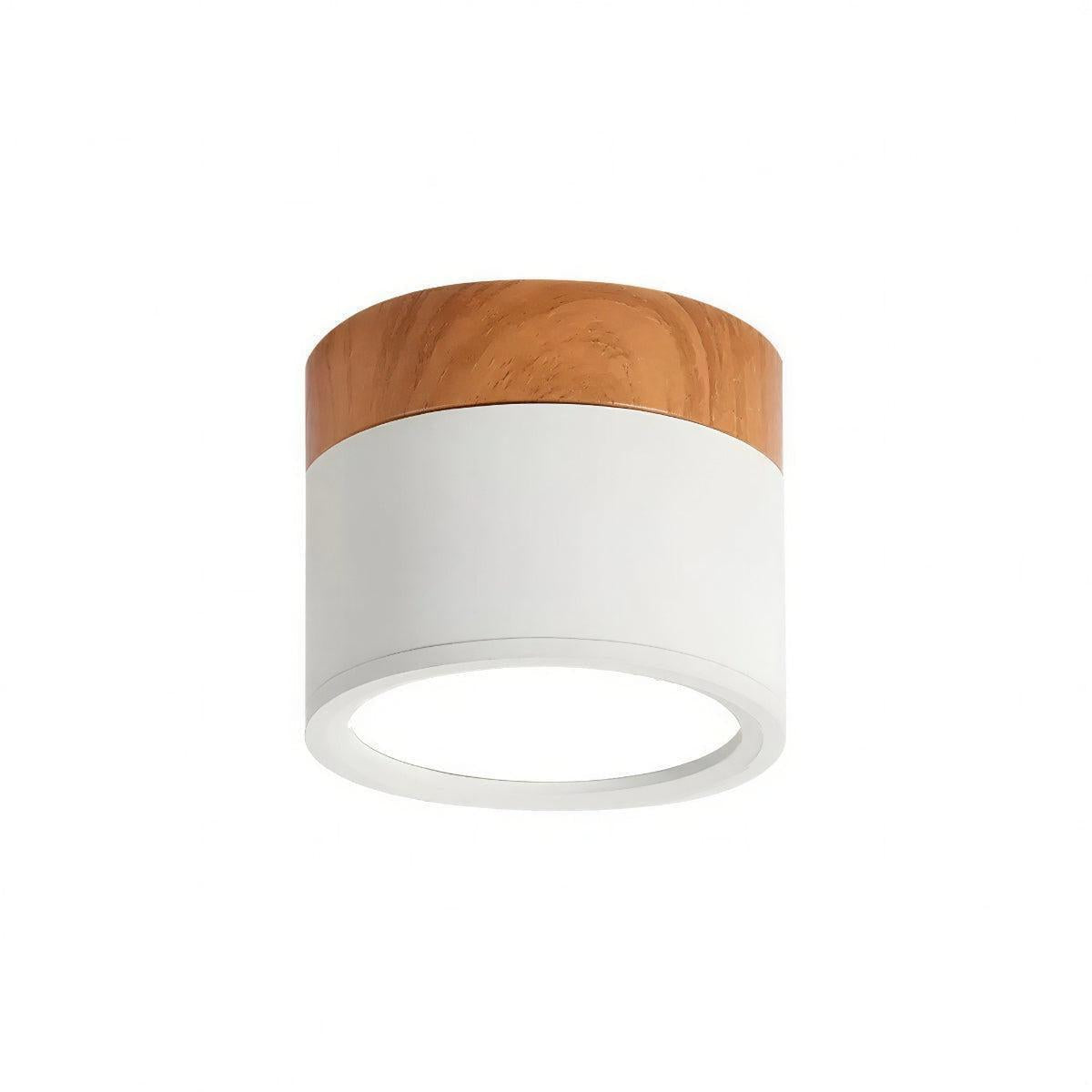 Simple Flush Mount Cylindrical Ceiling Light Downlight Fixture
