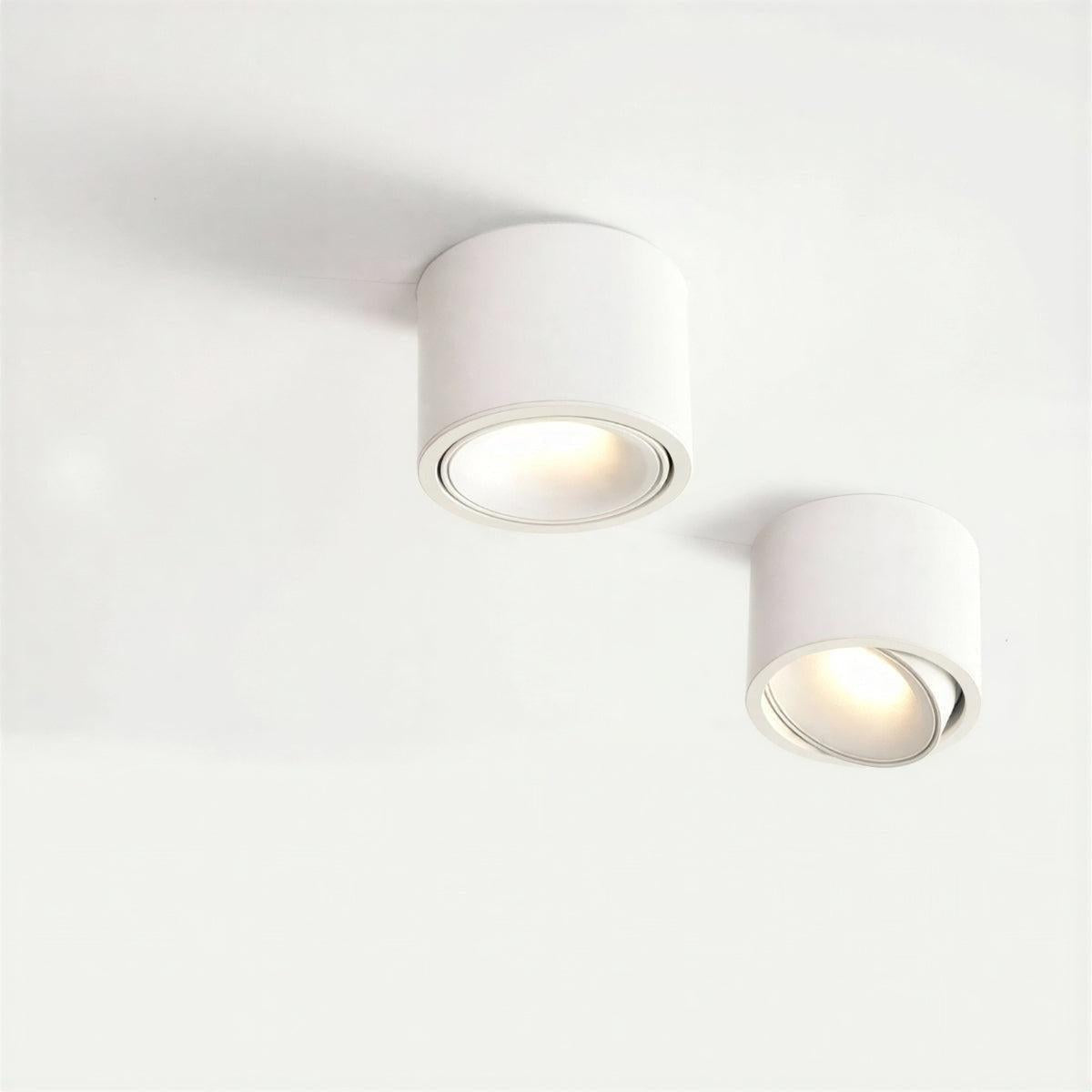 Cylindrical Flush Mounted Ceiling Light Downlight With Adjustable Spotlight Surface