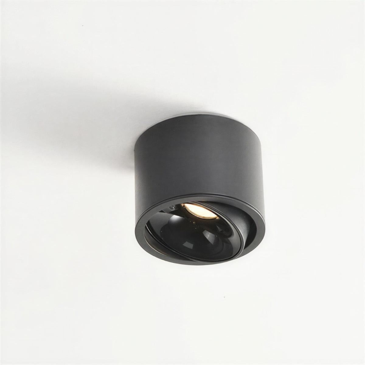 Cylindrical Flush Mounted Ceiling Light Downlight With Adjustable Spotlight Surface