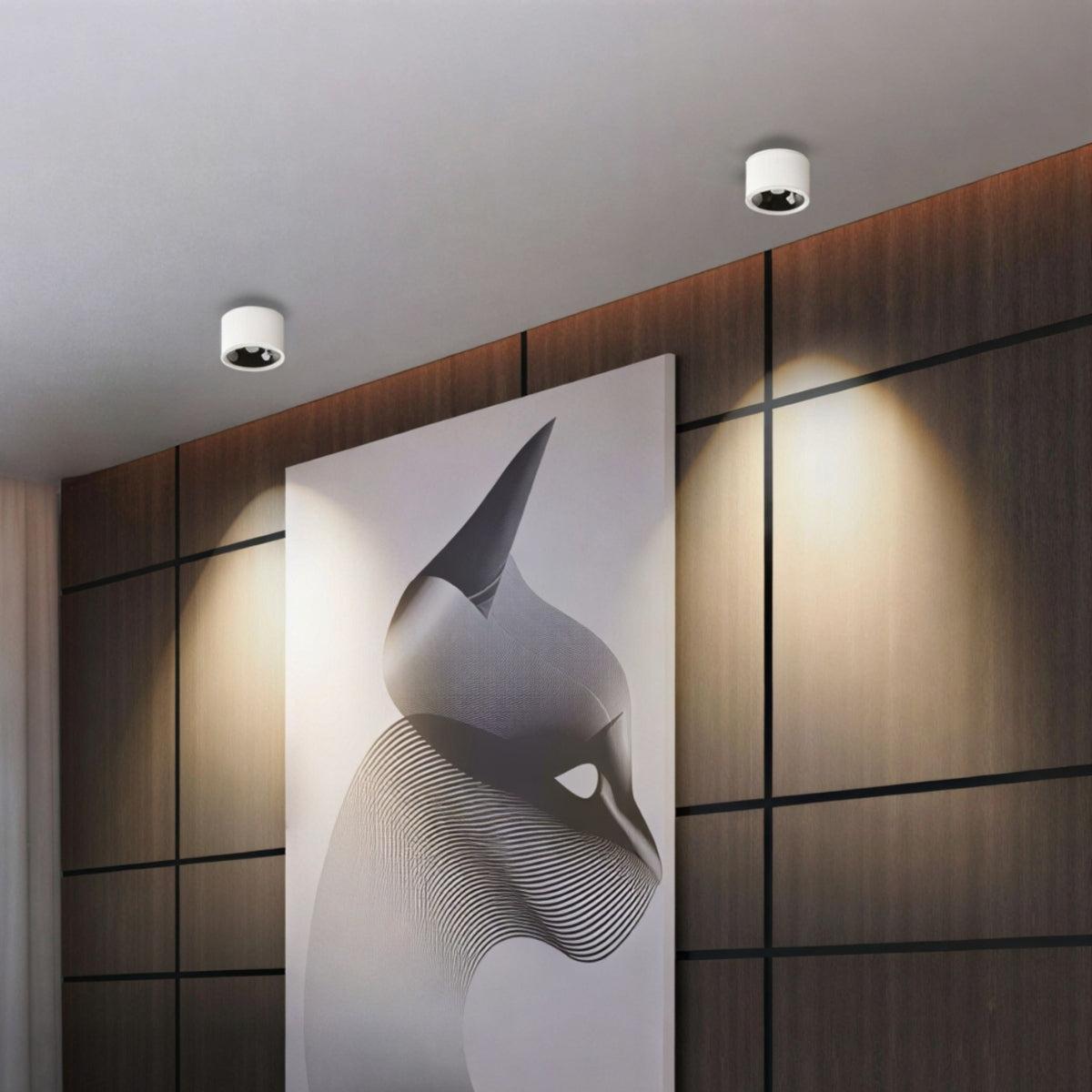 Cylindrical Flush Mounted Ceiling Light Downlight With Adjustable Spotlight Surface