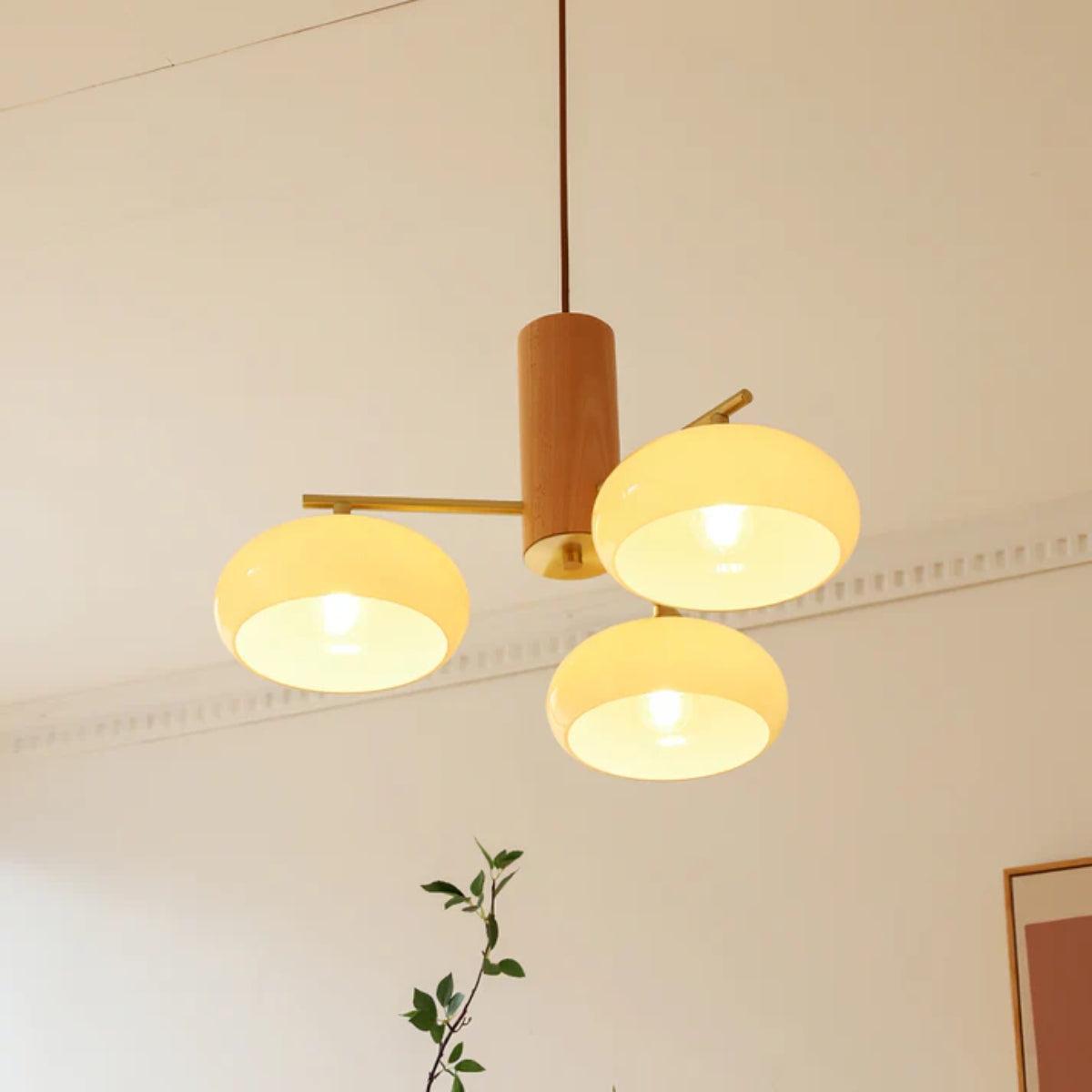Mid Century Chandelier Ceiling Light Fixture With Elliptical Multi Head Design