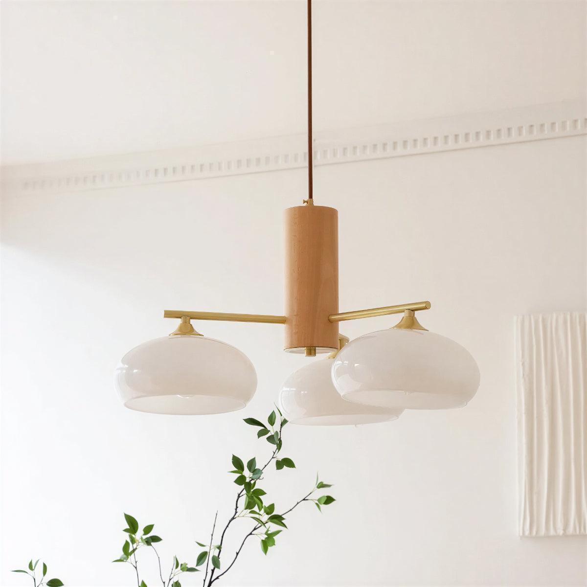 Mid Century Chandelier Ceiling Light Fixture With Elliptical Multi Head Design