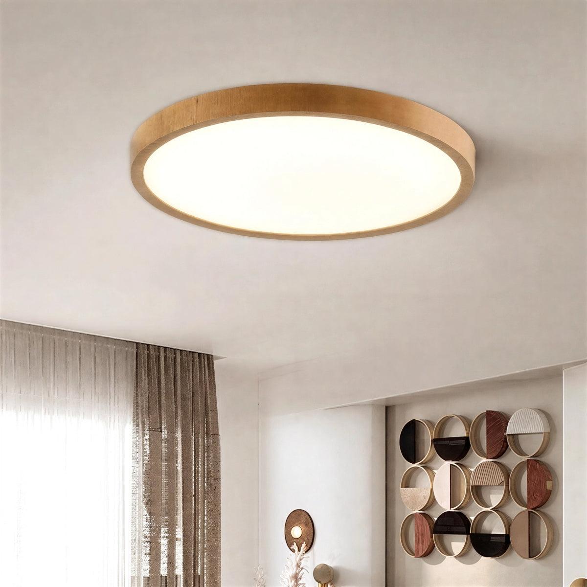 Modern Ultra Thin Circular Flush Mount Ceiling Lamp With Adjustable Brightness