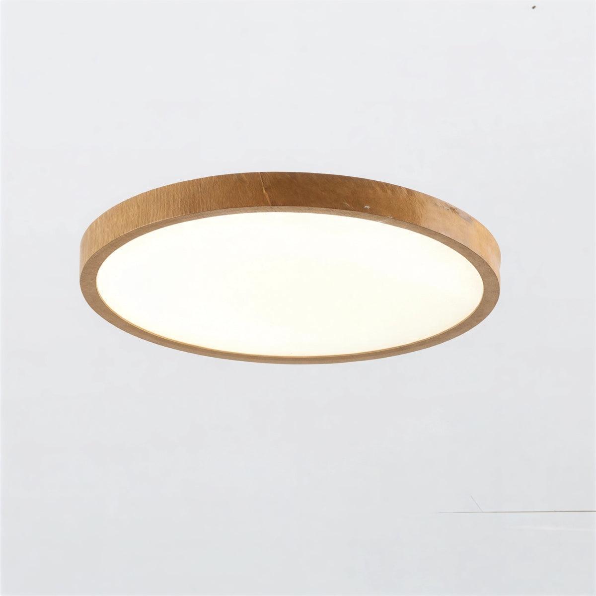 Modern Ultra Thin Circular Flush Mount Ceiling Lamp With Adjustable Brightness