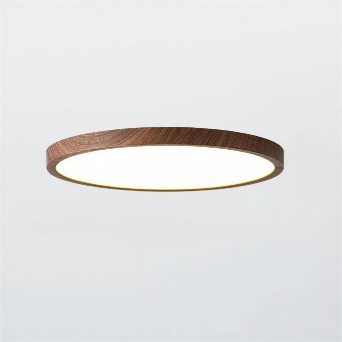 Modern Ultra Thin Circular Flush Mount Ceiling Lamp With Adjustable Brightness