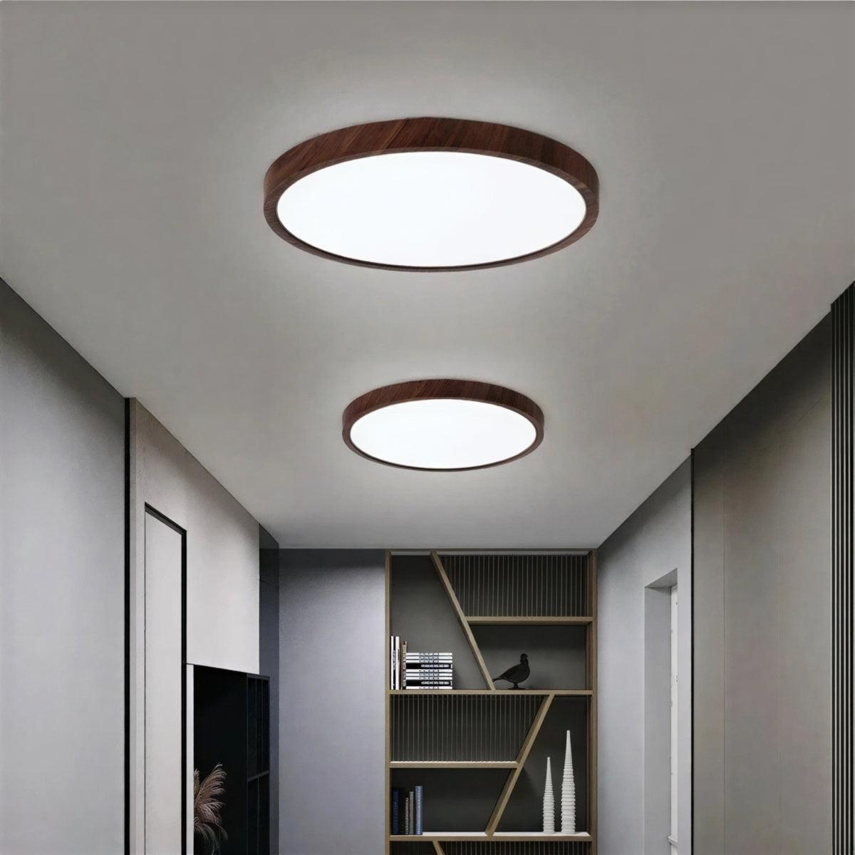 Modern Ultra Thin Circular Flush Mount Ceiling Lamp With Adjustable Brightness