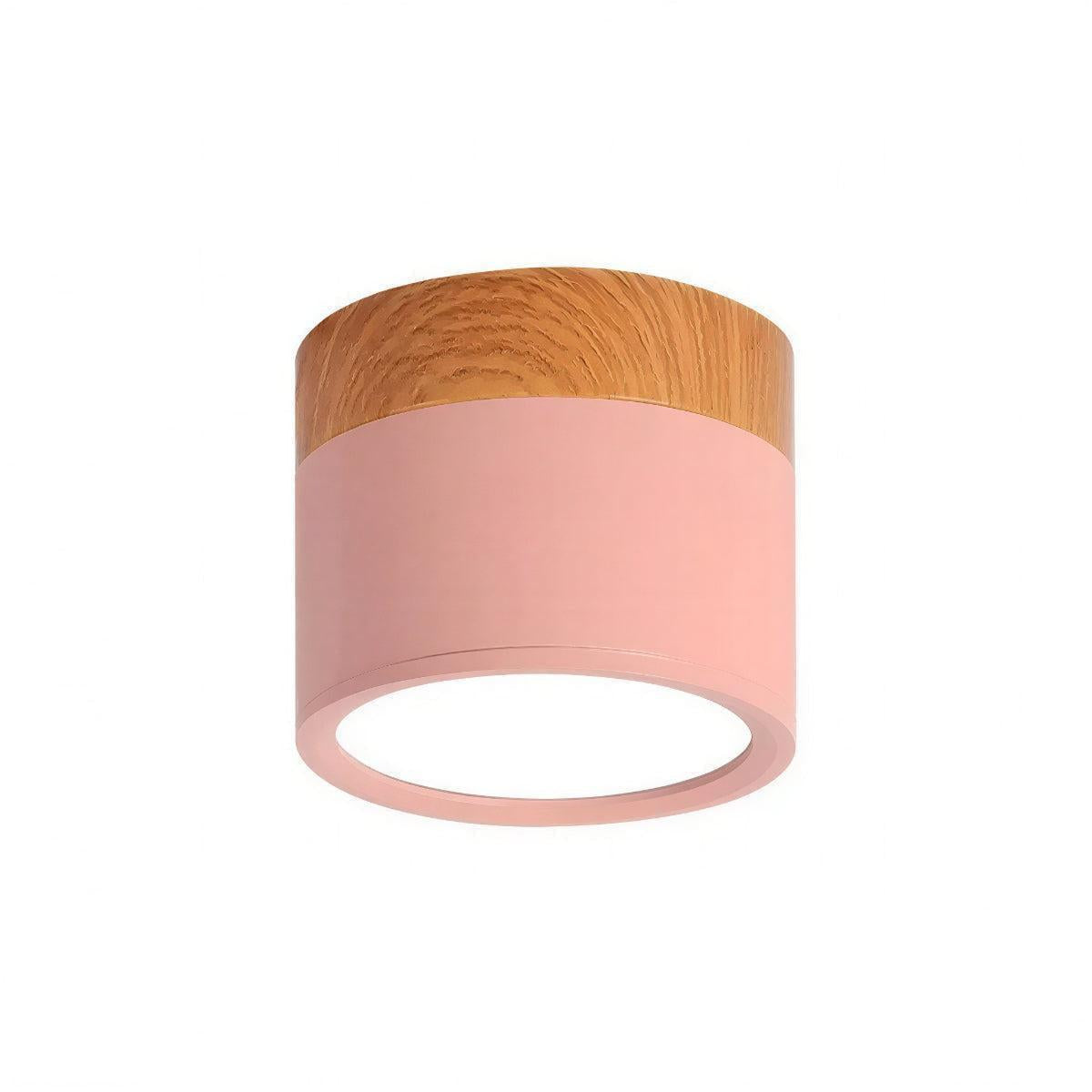 Simple Flush Mount Cylindrical Ceiling Light Downlight Fixture