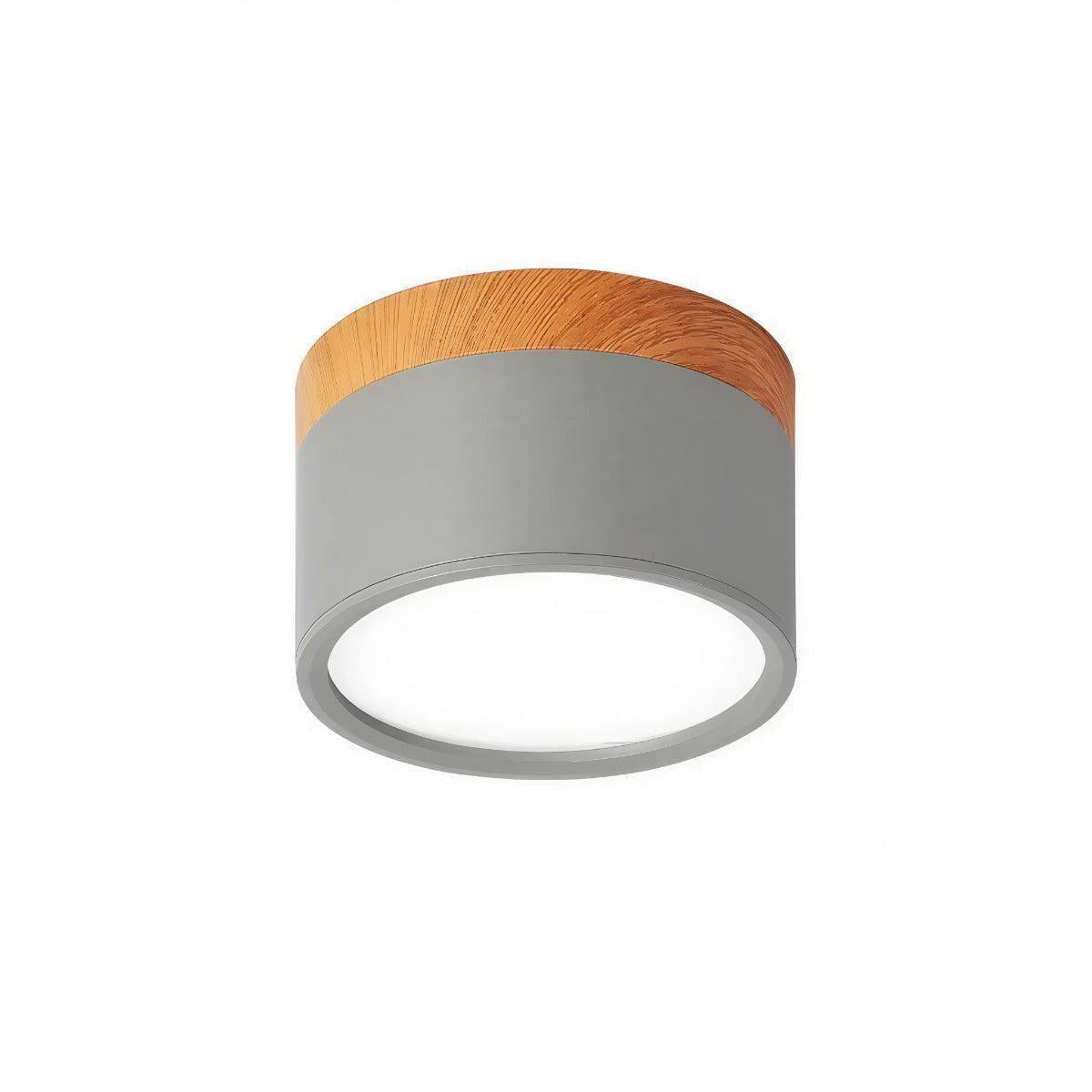 Simple Flush Mount Cylindrical Ceiling Light Downlight Fixture