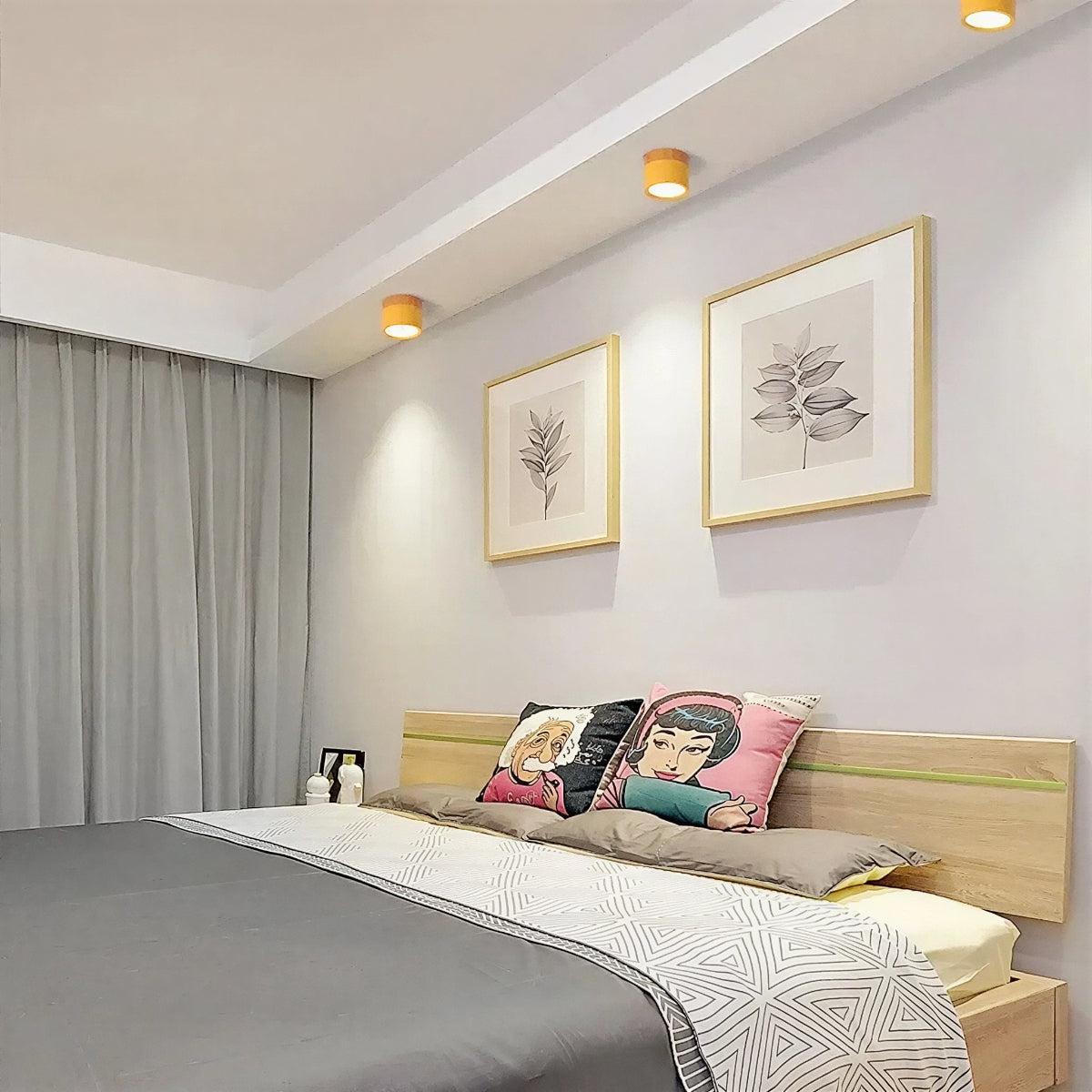 Simple Flush Mount Cylindrical Ceiling Light Downlight Fixture