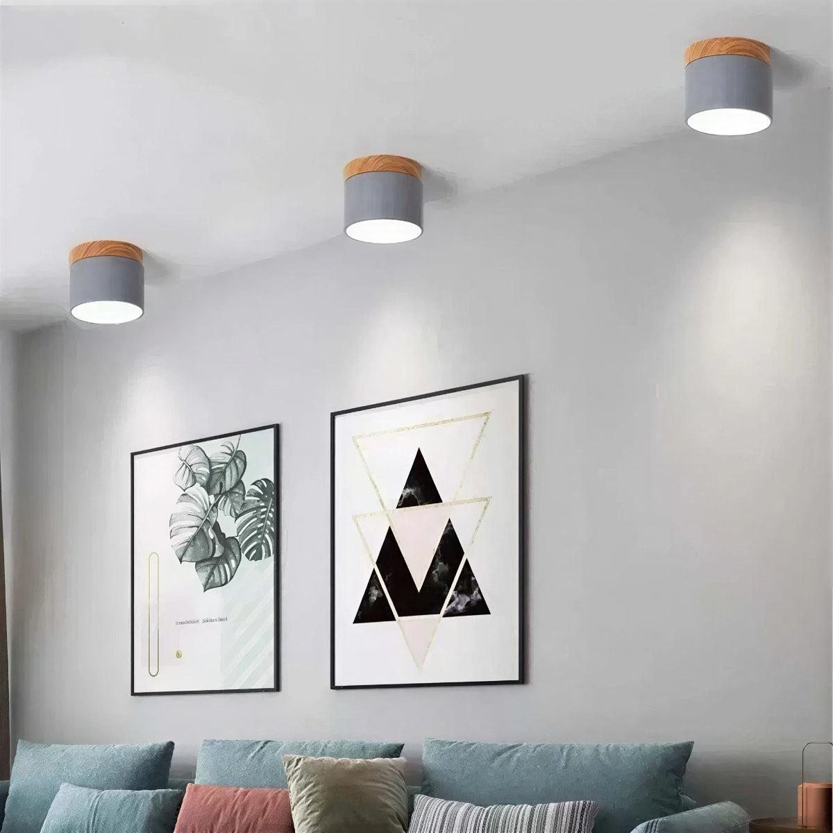 Simple Flush Mount Cylindrical Ceiling Light Downlight Fixture