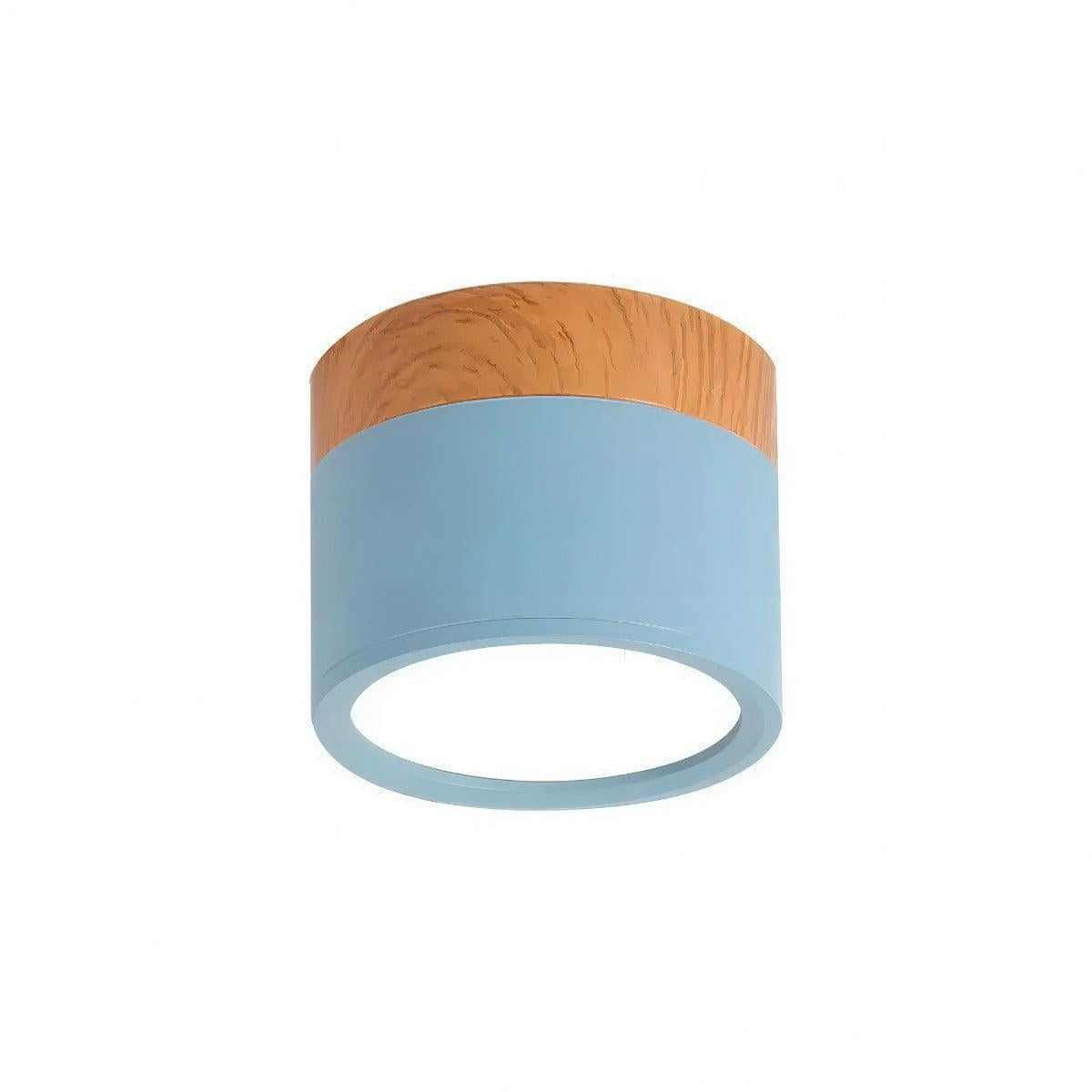 Simple Flush Mount Cylindrical Ceiling Light Downlight Fixture
