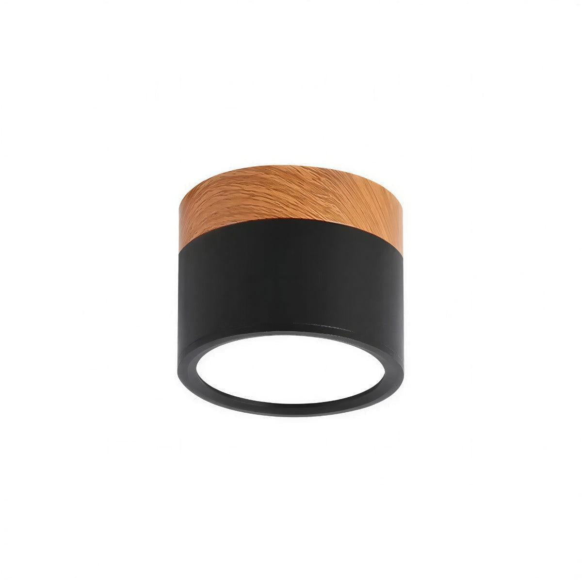 Simple Flush Mount Cylindrical Ceiling Light Downlight Fixture