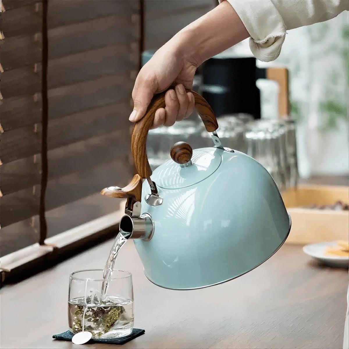 Stovetop Whistling Induction Hob Kettle With Rapid Boil