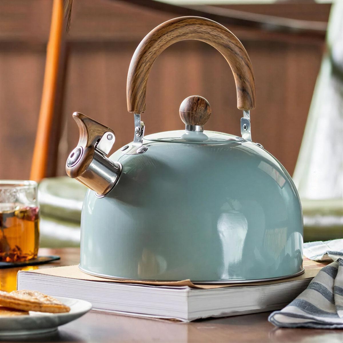 Stovetop Whistling Induction Hob Kettle With Rapid Boil